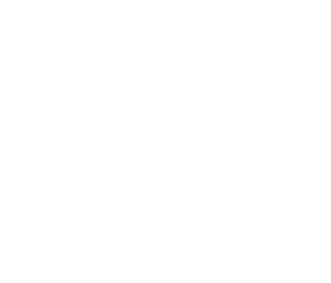 JDA BOURGOGNE DIJON HANDBALL