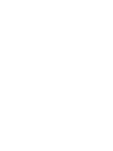 BREST BRETAGNE HANDBALL