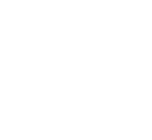 METZ HANDBALL