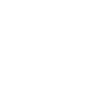 SAINT AMAND HANDBALL - PORTE DU HAINAUT