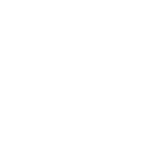 TOULON MÉTROPOLE VAR HANDBALL