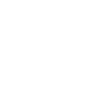 LDLC ASVEL
